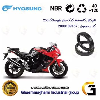 کاسه نمد کمک جلو موتورسیکلت کد 1415411 مناسب برای هیوسانگ 250 HYOSUNG GTR کویر موتور بسته دو عددی