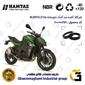 کاسه نمد کمک جلو موتورسیکلت کد 1375011 مناسب برای بلنتا زد1 BLENTA Z1 250 (طرح Z1000) بسته دوعددی همتاز موتور