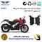 لنت دیسکی ترمز عقب موتور سیکلت  کد 1134  مناسب برای آر اس BAJAJ PULSAR RS200 همراه سیکلت جهان