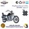 لنت دیسکی ترمز جلو موتور سیکلت کد 1009  مناسب برای رگال رپتور فالکون 250 REGAL RAPTOR FALCON 249 
