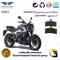 لنت دیسکی ترمز جلو موتور سیکلت  کد 1179 مناسب برای دومینار 250 BAJAJ DOMINAR همراه سیکلت جهان