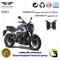 لنت دیسکی ترمز عقب موتور سیکلت  کد 1134 مناسب برای دومینار 250 BAJAJ DOMINAR همراه سیکلت جهان